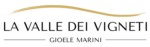 La valle dei vigneti
