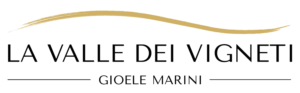 La valle dei vigneti